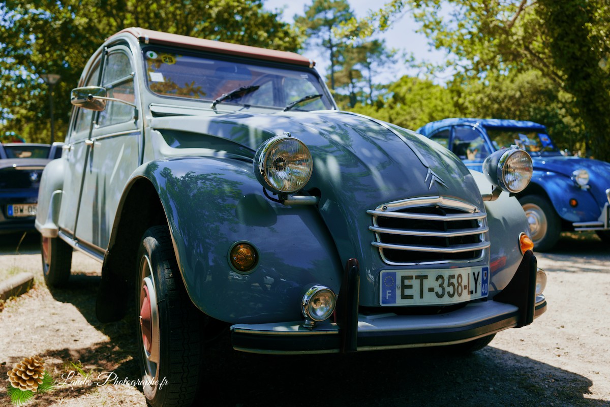 🚗  Les 10 ans du Club Loun Rétro : Patrimoine Roulant au Bord du Lac de Léon